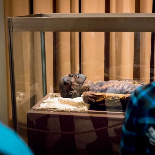 Эрмитаж: тайны Египетского зала