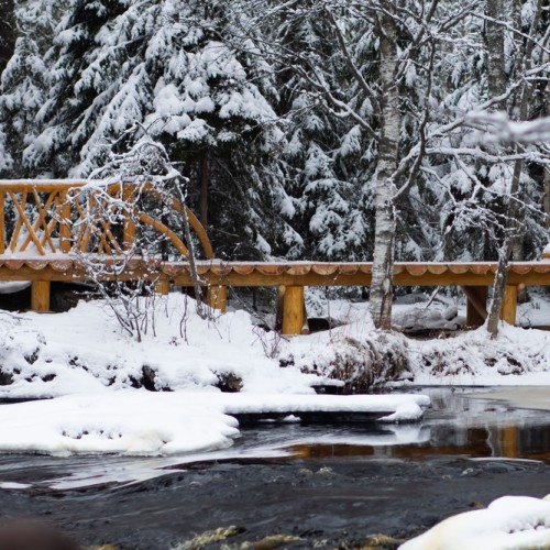 Встречаем Новый год в Карелии: экскурсии, праздничная программа и отдых в загородном отеле