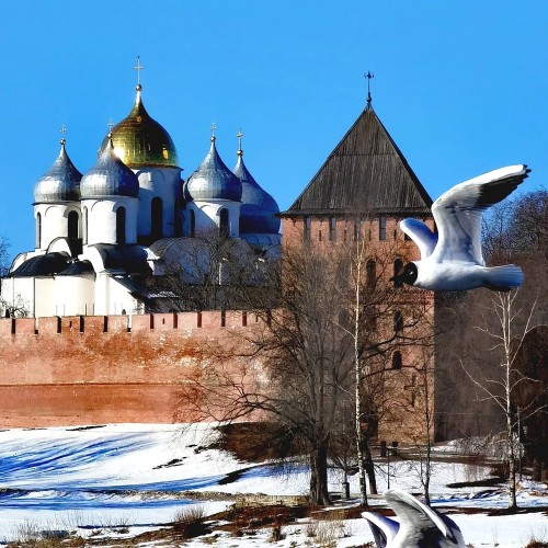 Два центра Великого Новгорода: кремль и Ярославово дворище