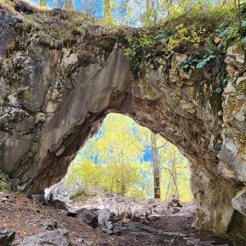 В сиреневом море цветов: весенний автотур по Чуйскому тракту