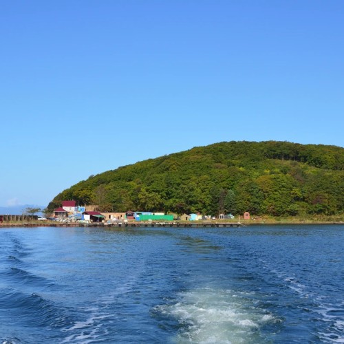 Поездка на остров Русский с посещением морской фермы