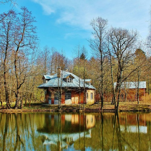 Путешествие в мир заброшенных усадеб — из Петербурга