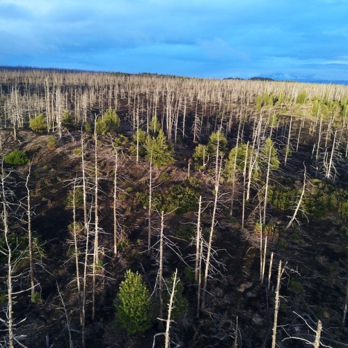 Джип-экспедиция своей компанией по экстремальному бездорожью к вулкану Плоский Толбачик