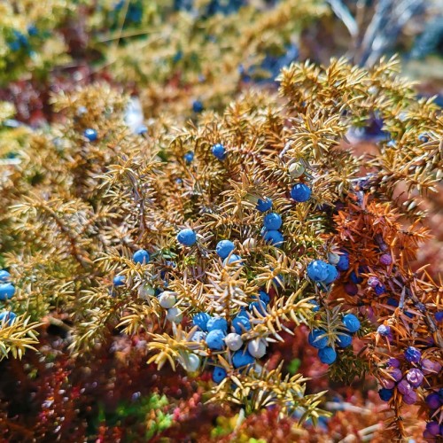 Алтай — активный: конная прогулка, лёгкий сплав и треккинг к горным озёрам + топовые локации