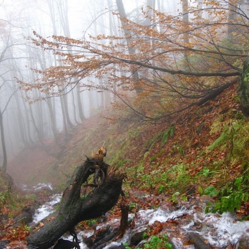 Маршрут №30: поход через горы к морю