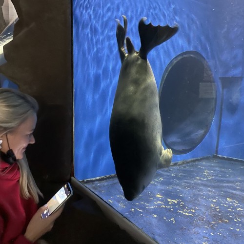 Байкальский калейдоскоп и лёгкие треккинги: Иркутск, Листвянка, Малое Море