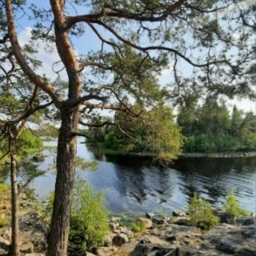 Водная стихия Карелии: от Онеги до Ладоги с проживанием в загородном комплексе