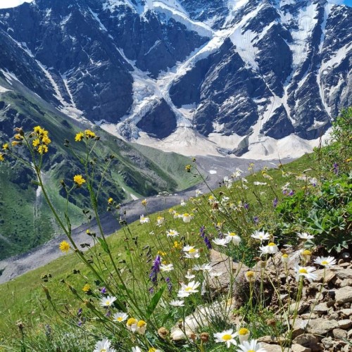 Палитра впечатлений на Кавказе: Кисловодск, Приэльбрусье, Домбай