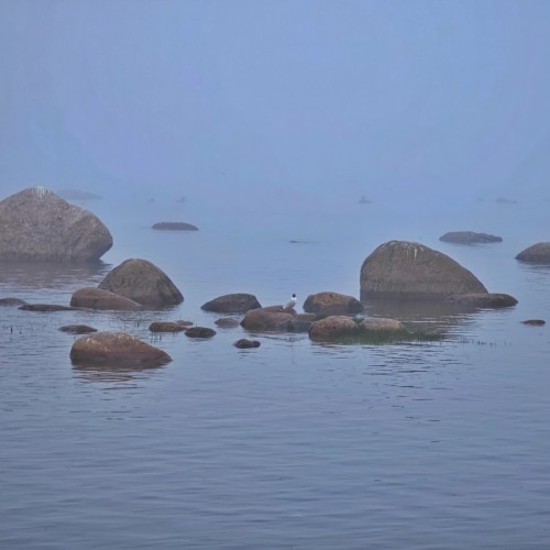 К форту «Красная горка» и «Андерсенграду» — из Петербурга