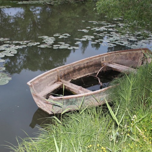 Экскурсия по прекрасной Стрельне
