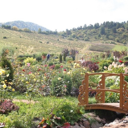 Сказка Алтайского Холмогорья