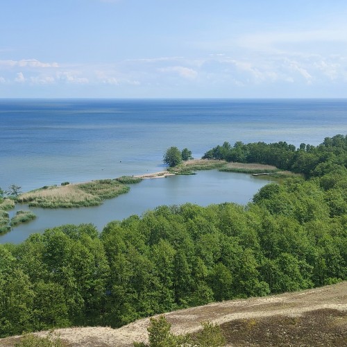 Куршская коса вдоль и поперёк (из Светлогорска)
