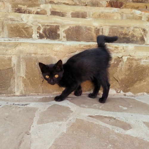 Неделя в стране гор: необычные места Дагестана и восхождение на Шалбуздаг