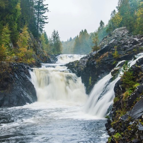 Водная стихия Карелии: от Онеги до Ладоги с проживанием в загородном комплексе