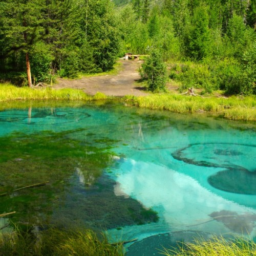 На Алтай из Новосибирска в мини-группе с проживанием в экодоме: топовые места и фермы