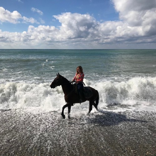 Конные прогулки для уверенных всадников: горы, море, чайные плантации и реликтовые леса Сочи