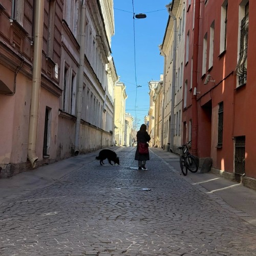 По Васильевскому с островитянином!