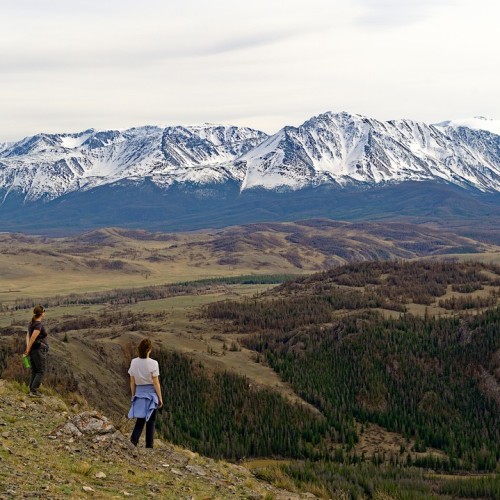 Майские на Алтае в сезон цветения маральника с ежедневными прогулками (всё включено)