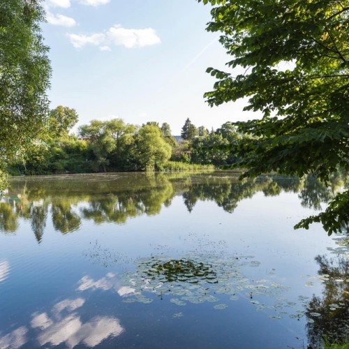 По следам русских классиков: Константиново, Ясная Поляна и Мелихово