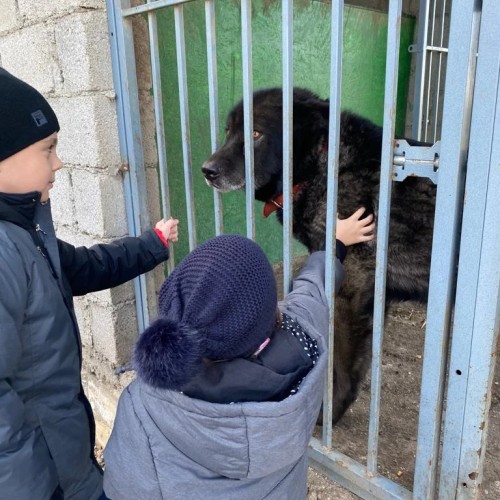 Долина волков, Дом великана и Медовые водопады