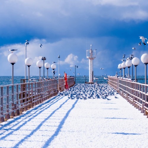 Большой тур по Сочи: природа, архитектура, история