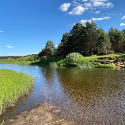 Подальше в лес: сплав на байдарках по реке Медведице