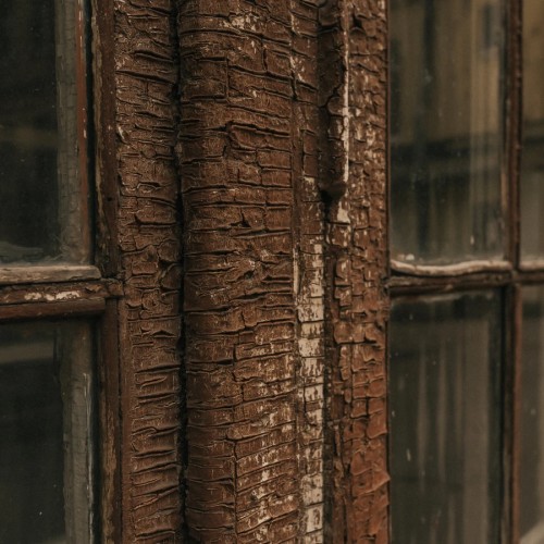 Санкт-Петербург: инструкция по применению