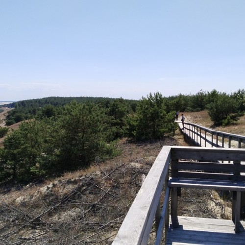 Индивидуальная перезагрузка на Куршской косе и увлекательные экскурсии