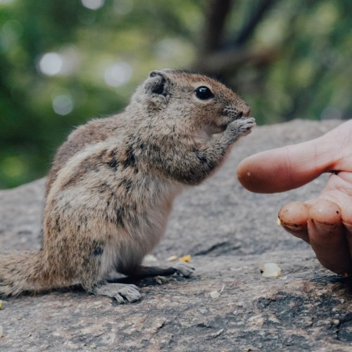 Колымские приключения: Магадан и окрестности в формате «всё включено»