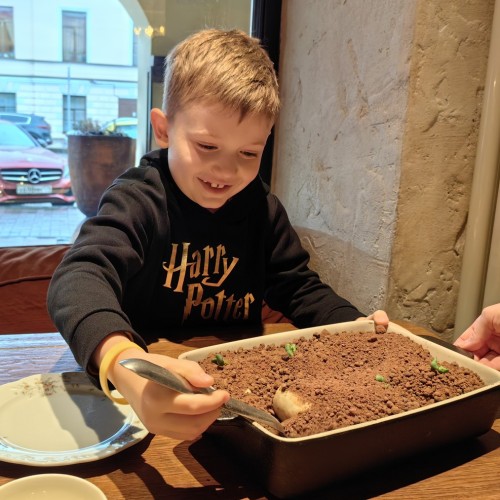 Васильевский «остров сокровищ»: самостоятельное путешествие