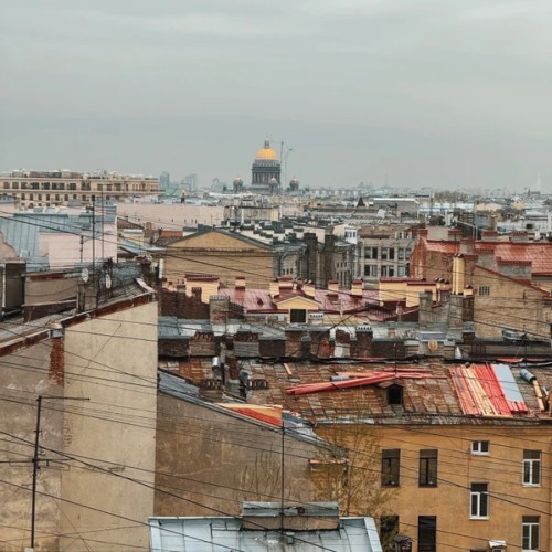 Петербург 4 в 1: дворы, парадные, коммуналки и крыша