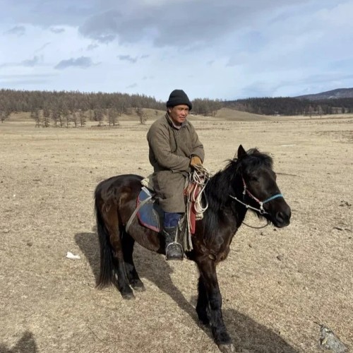 Из Иркутска в Монголию: ночёвки у озера Хубсугул, знакомство с кочевой жизнью и фотосафари