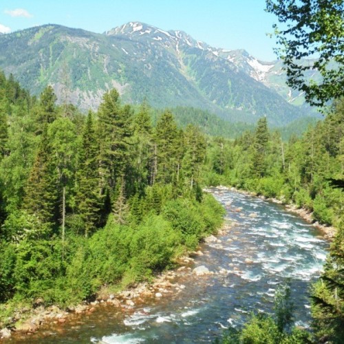 Скрытая жемчужина бурятских лесов: активный отдых с палатками (всё включено)