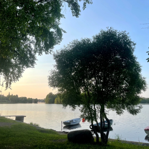 Дачно-курортное очарование Сестрорецка