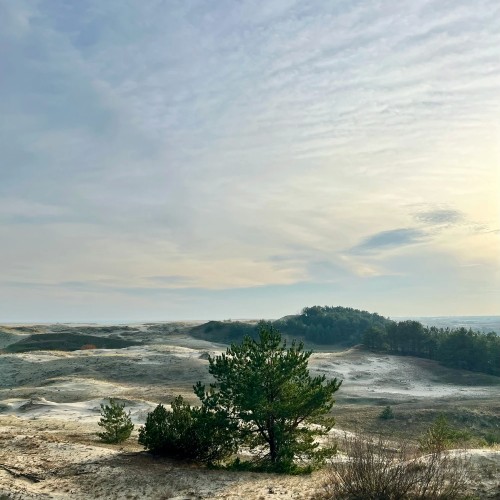 7 городов Калининградской области и природа Балтики: автобусный тур с опциональными экскурсиями