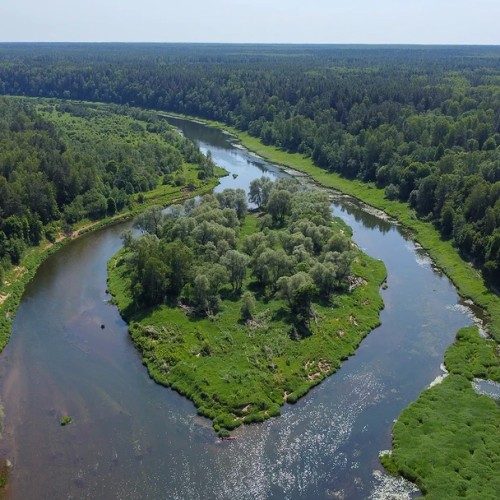 Экспресс-перезагрузка на реке Угре: сплав на байдарках
