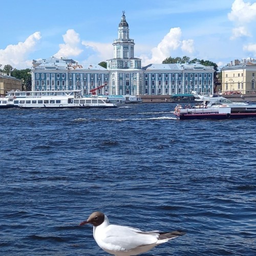 Визитные карточки города на Неве