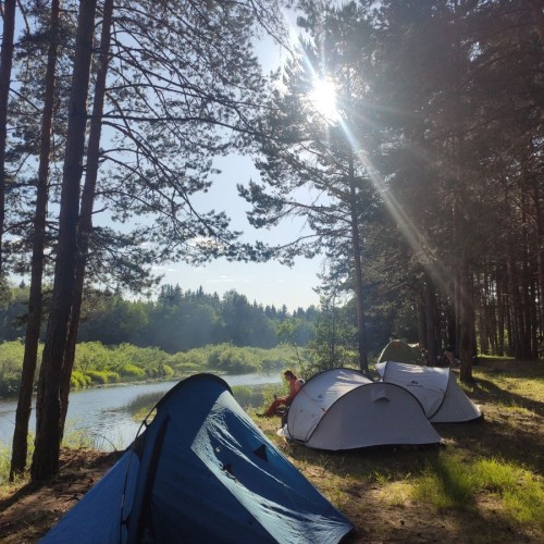Очарование Медведицы: лёгкий сплав на байдарках (всё включено)