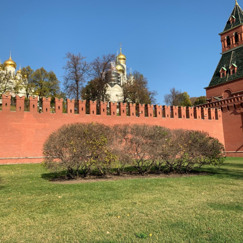 Где жил слон царя: московские координаты Ивана Грозного