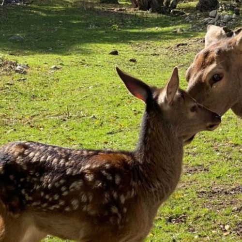 Всё лучшее на Кавказе — для вас: топ-локации, кухня, отдых на источниках, конная прогулка, рыбалка