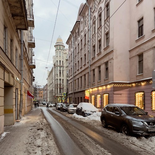 Дворцы и хижины Петроградки