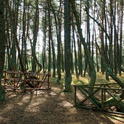 Балтийское побережье и Калининград за 4 дня