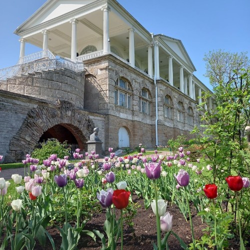 Царское Село — город гусарский, военный, имперский
