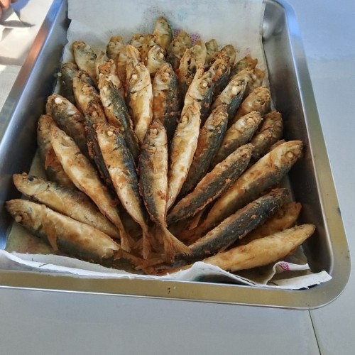 Морская рыбалка в Сочи круглый год