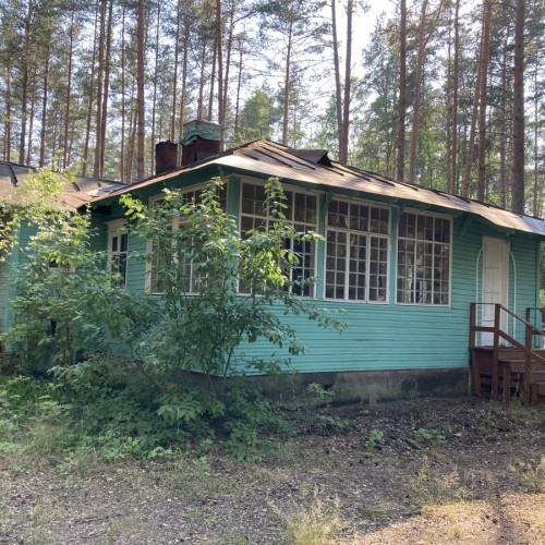 Лесная сторона Комарово: от дач до «будки» Ахматовой