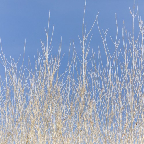 Алтайские чудеса: водопады, горы, озёра и марсианские пейзажи в мини-группе
