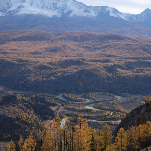 Знакомство с Алтаем своей компанией: снежные вершины, кристальные озёра и заповедные тропы