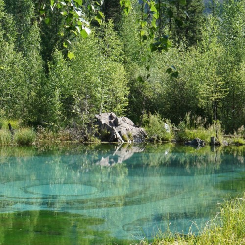 Алтайский максимум: все главные достопримечательности за неделю с комфортом (мини-группа)