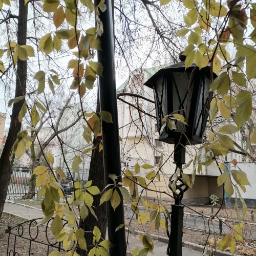 Фотопрогулка от Курской до Чистых прудов