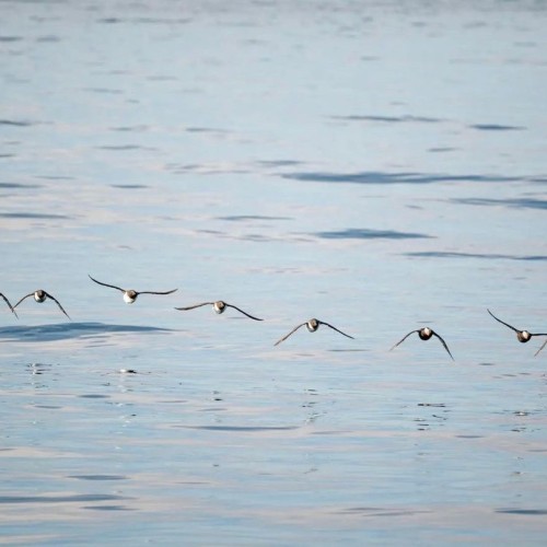 Активный отдых на Камчатке в мини-группе: треккинги, сплавы, квадроциклы